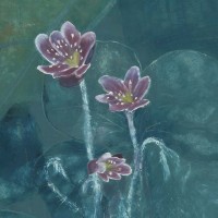 Moonlit Flowers