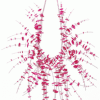 Sporadic Fragment Necklace