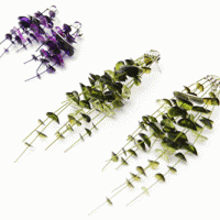 Sporadic Fragment Earrings